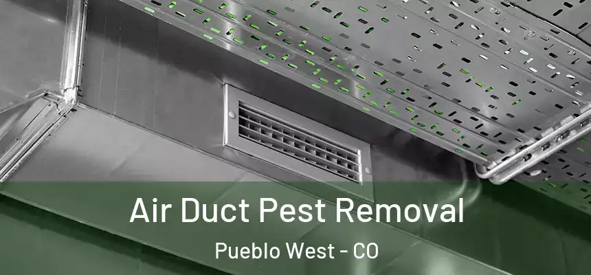  Air Duct Pest Removal Pueblo West - CO