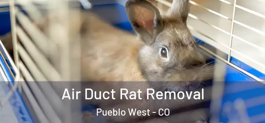  Air Duct Rat Removal Pueblo West - CO