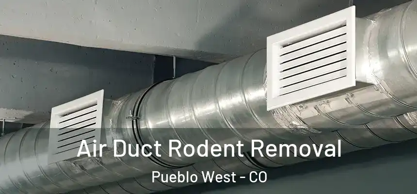  Air Duct Rodent Removal Pueblo West - CO