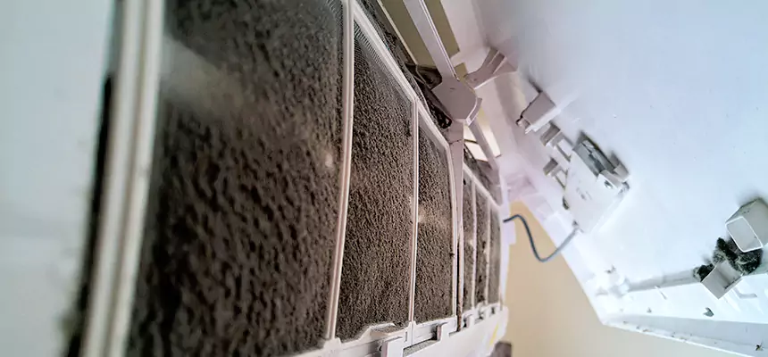 Preventive Air Duct Bacteria Removal in Pueblo West