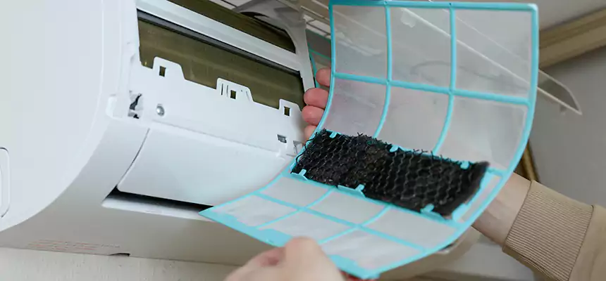 Gentle Ductwork Odor-Control Pet Dander Duct Cleaning in Pueblo West, CO