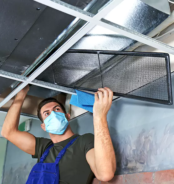 About Air Duct Bacteria Removal in Pueblo West