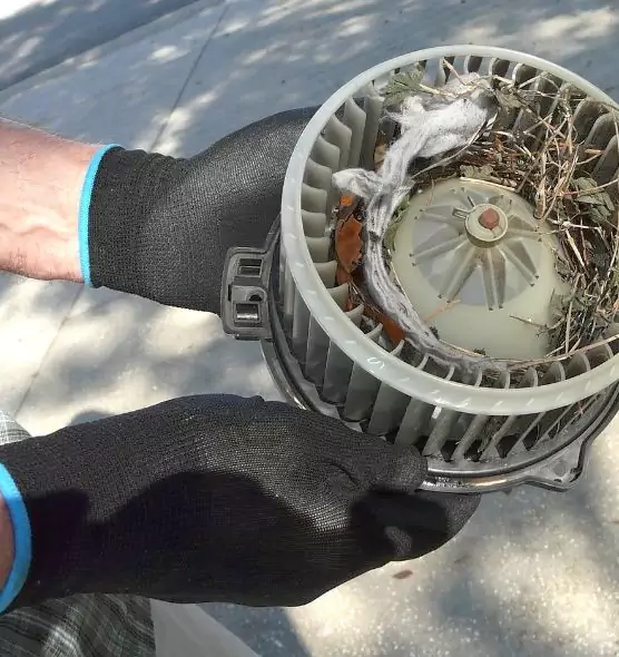 About Air Duct Mice Removal in Pueblo West, CO