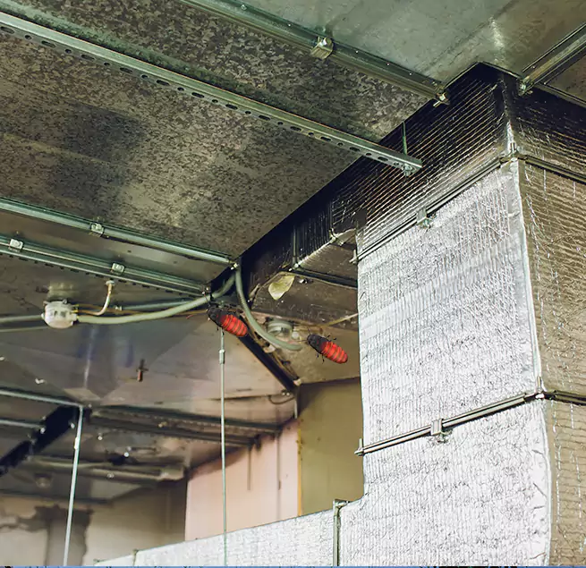 Why Homeowners & Businesses Trust Us in Pueblo West, CO?