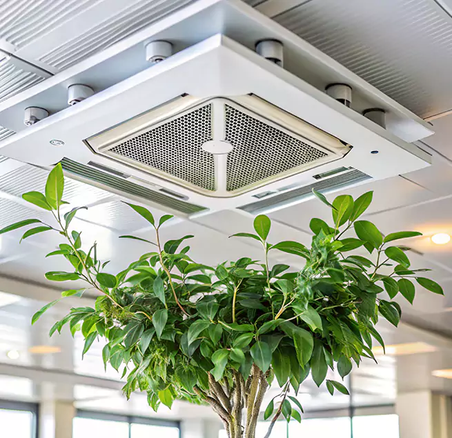 Why Homeowners & Businesses Trust Us in Pueblo West, CO?